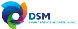 dsm logo